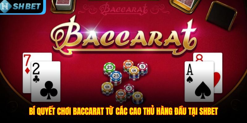 Bí quyết chơi Baccarat từ các cao thủ hàng đầu tại SHBET