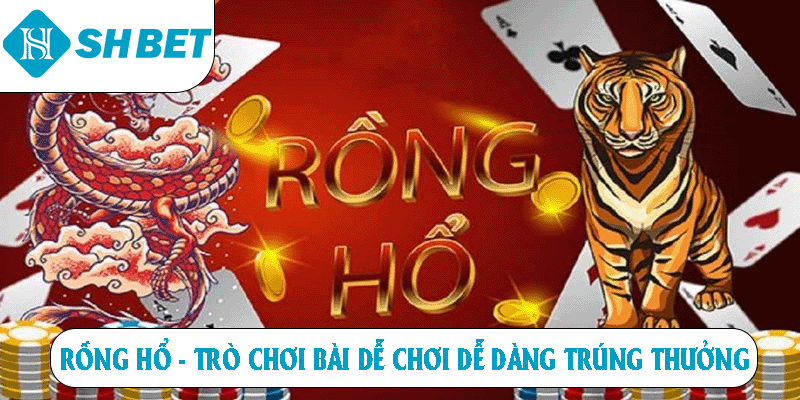 Rồng hổ trò chơi bài dễ chơi dễ dàng trúng thưởng tại SHBET